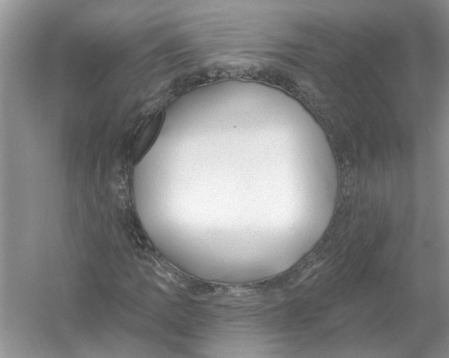 X0000053001109200508051127