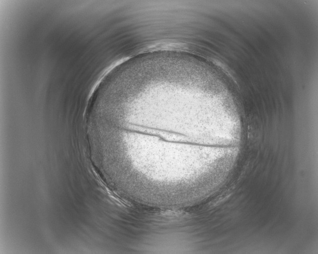 X0000053001117200508051127