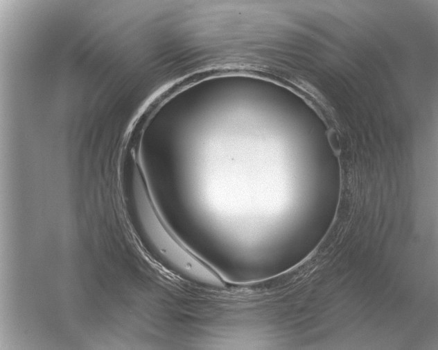 X0000053001120200508051127