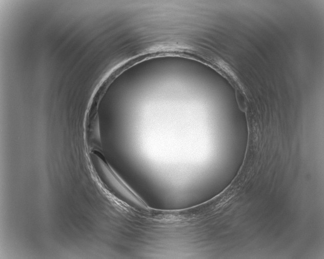 X0000053001124200508051127