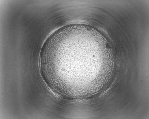 X0000053001125200508051127