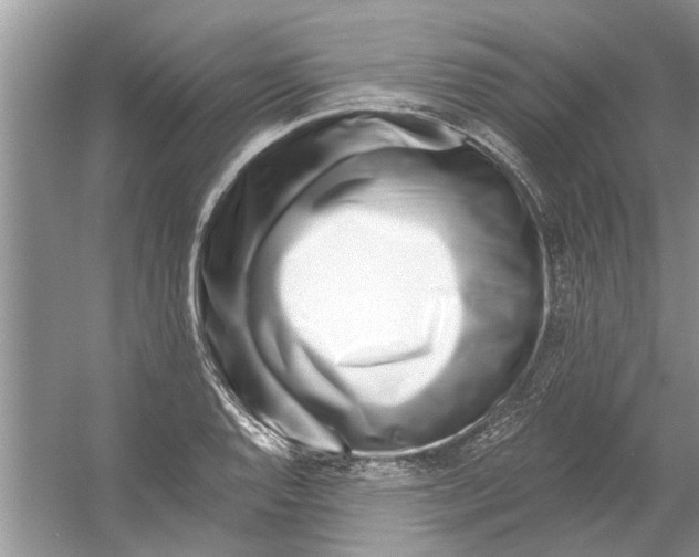 X0000053001128200508051127