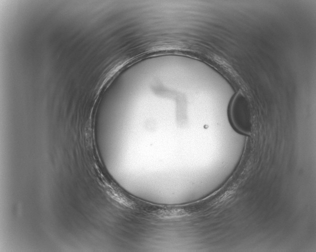 X0000053001129200508051127