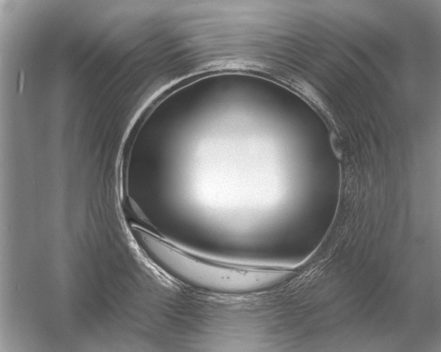 X0000053001132200508051127