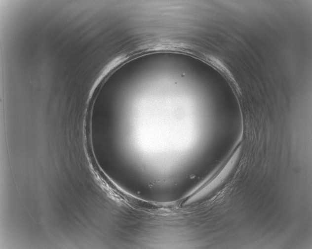 X0000053001138200508051127