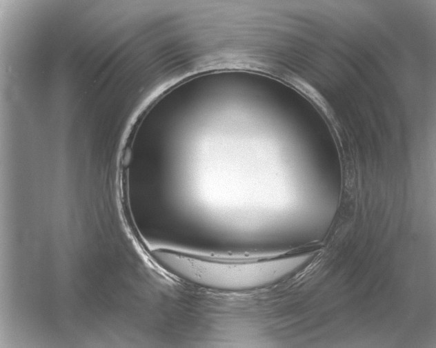 X0000053001144200508051127