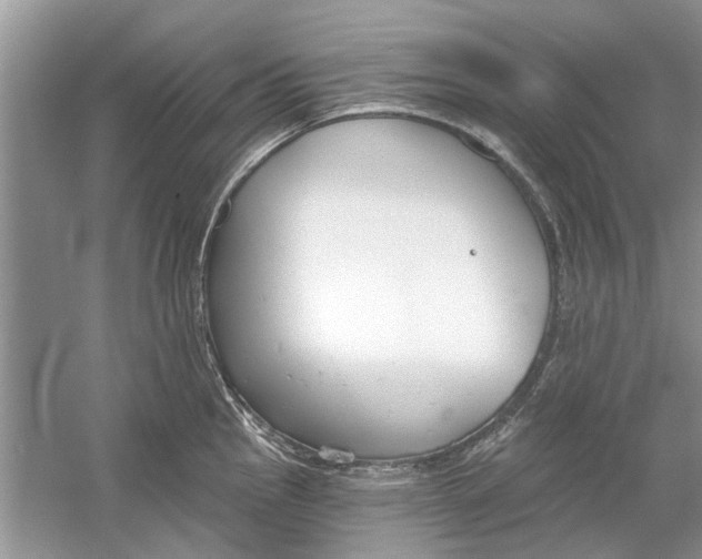 X0000053001145200508051127