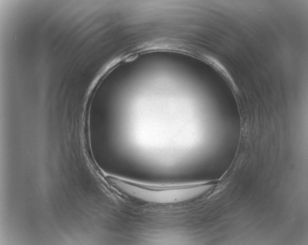 X0000053001146200508051127