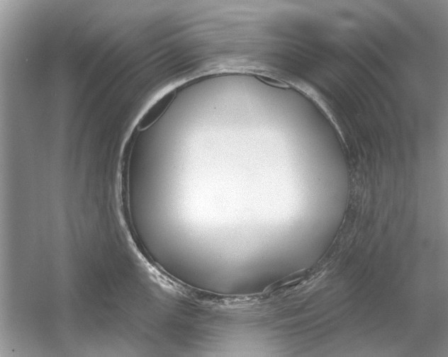 X0000053001147200508051127