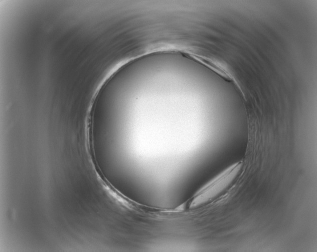 X0000053001151200508051127