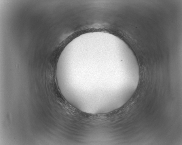 X0000053001158200508051126