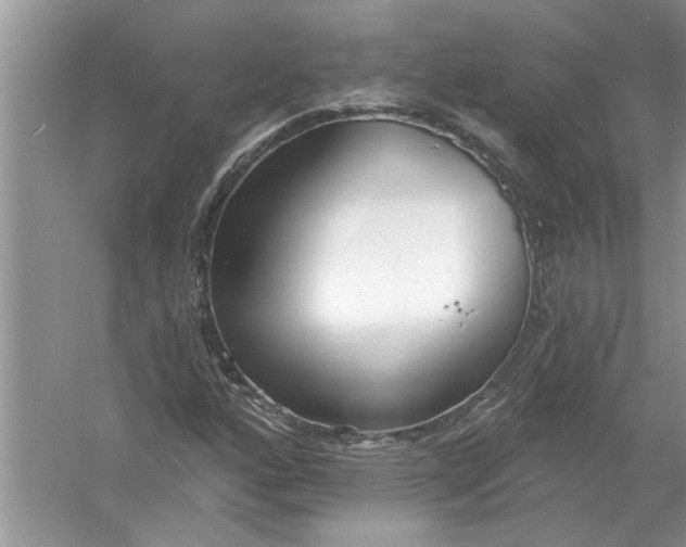 X0000053001160200508051126