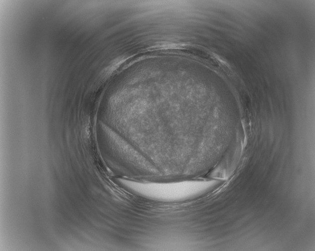 X0000053001161200508051126