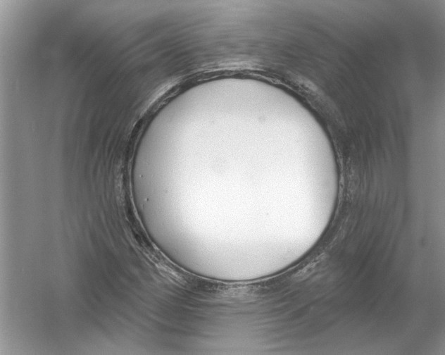 X0000053001162200508051126