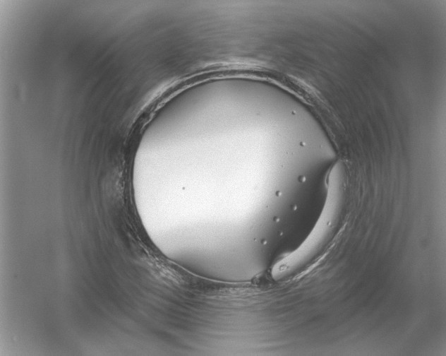 X0000053001163200508051126