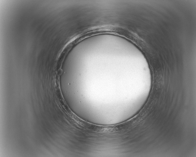 X0000053001166200508051126