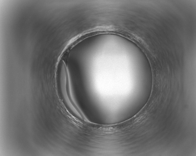 X0000053001168200508051126