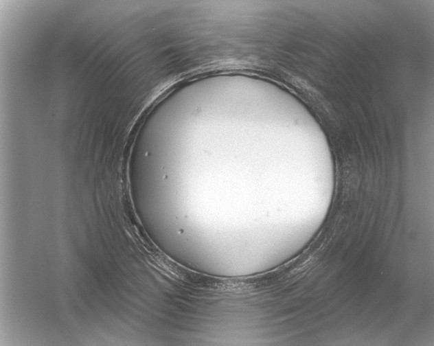 X0000053001170200508051126