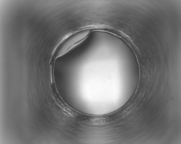 X0000053001171200508051126