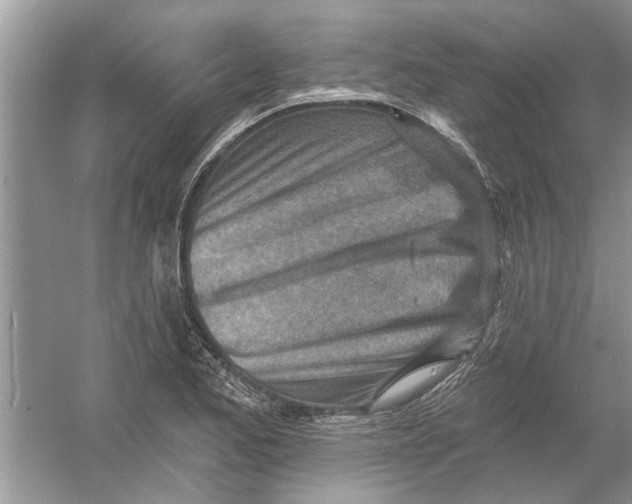 X0000053001173200508051126