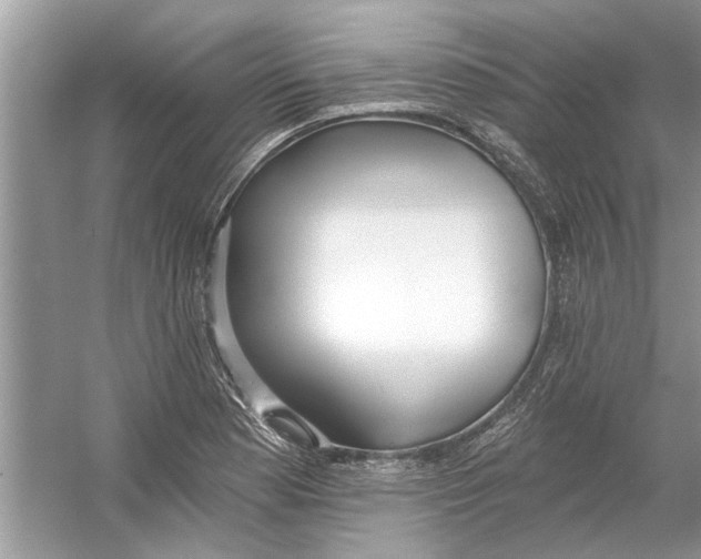 X0000053001177200508051126