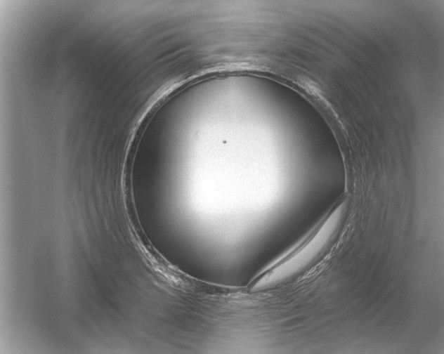 X0000053001181200508051126