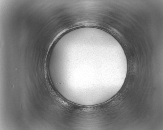 X0000053001182200508051126