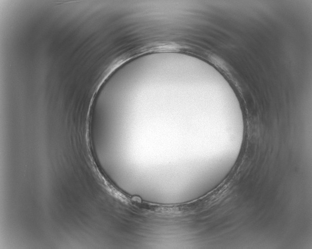 X0000053001194200508051126