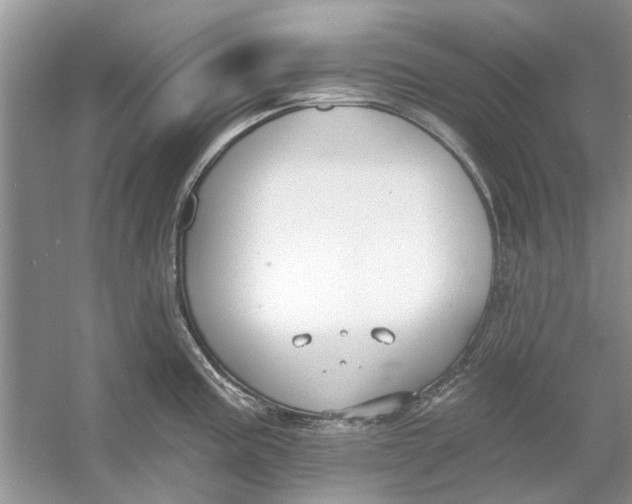 X0000053001195200508051126