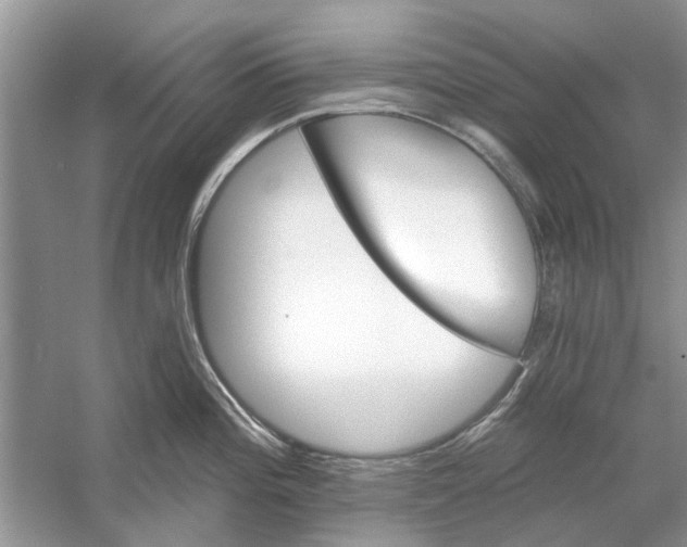 X0000053001196200508051126