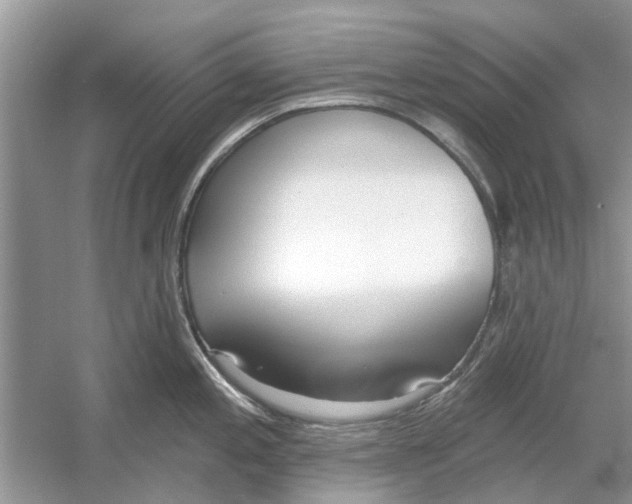 X0000053001197200508051126