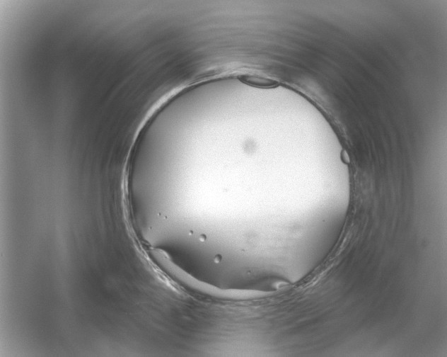 X0000053001198200508051126