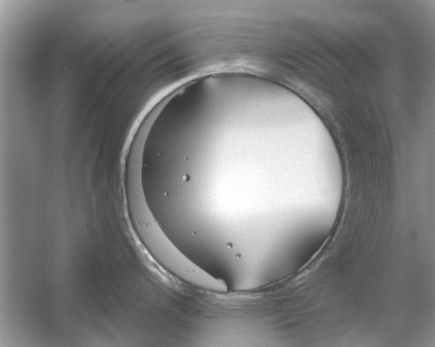 X0000053001200200508051126