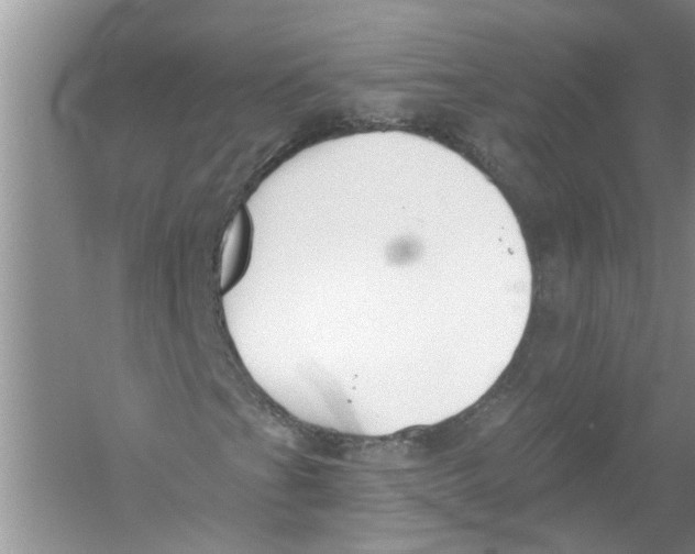 X0000053001201200508051125