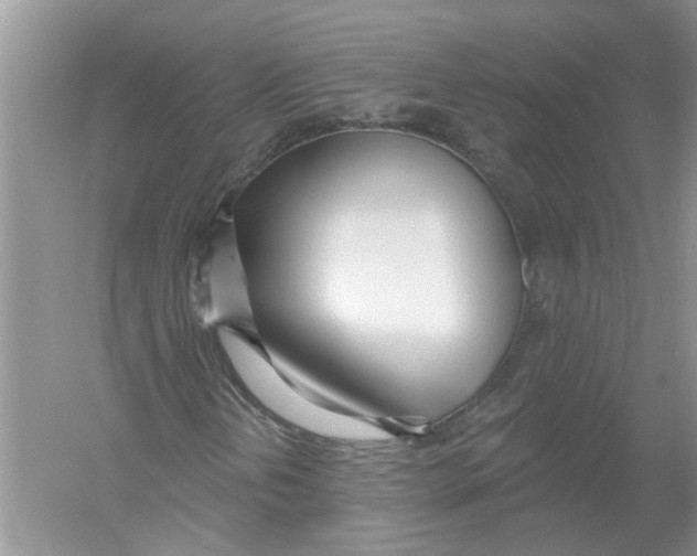 X0000053001202200508051125