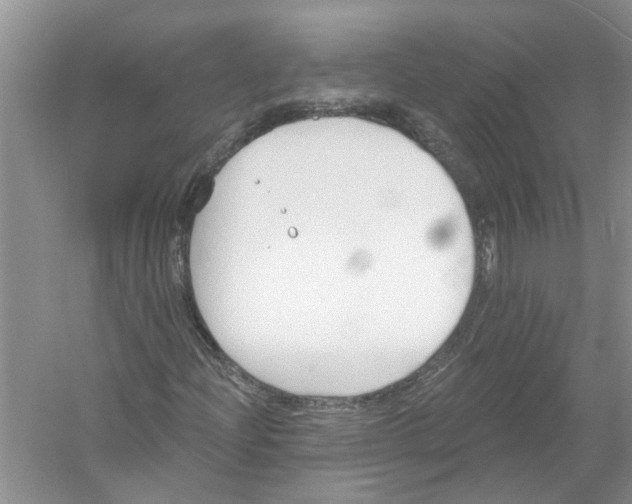 X0000053001204200508051125