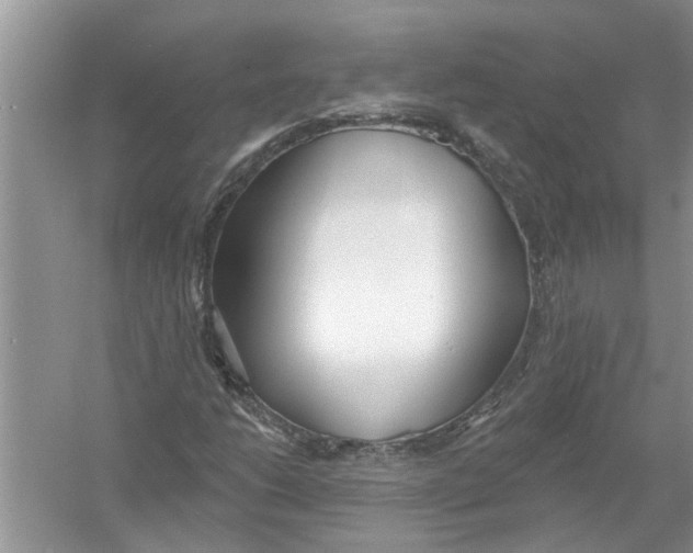 X0000053001206200508051125