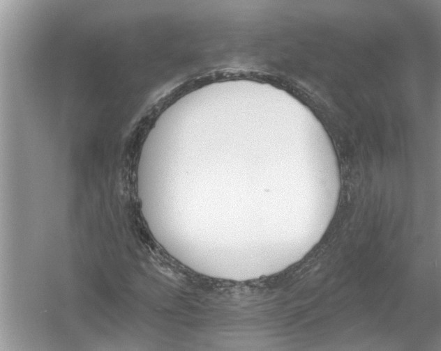 X0000053001207200508051125