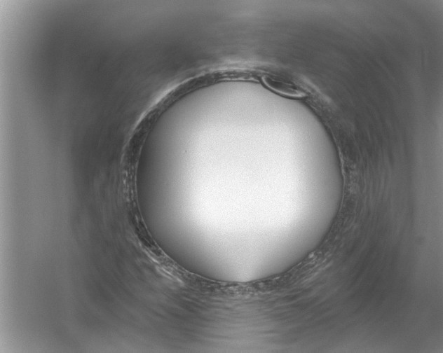 X0000053001208200508051125