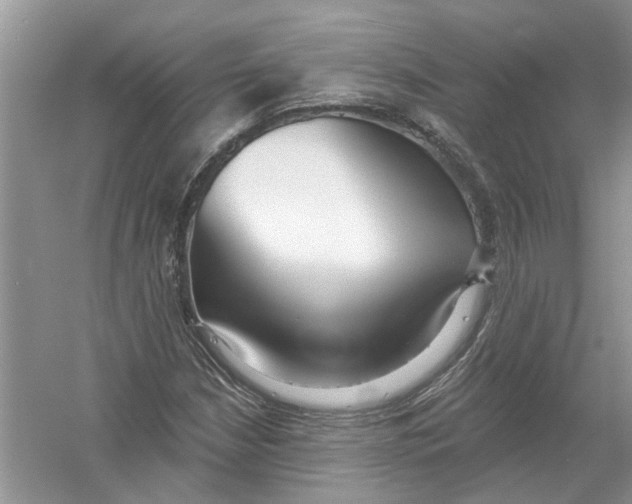 X0000053001210200508051125