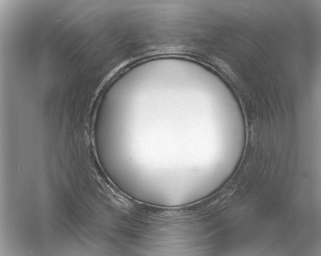 X0000053001212200508051125