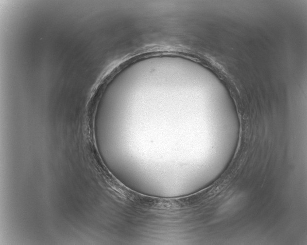 X0000053001215200508051125