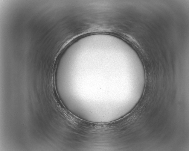 X0000053001220200508051125