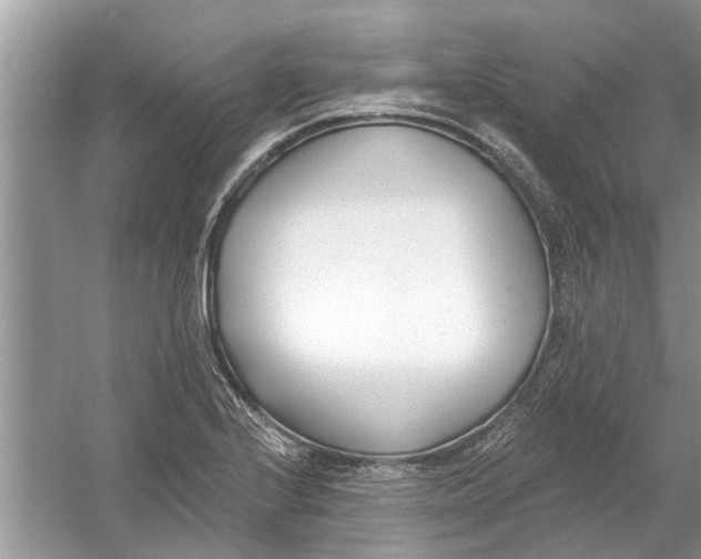 X0000053001224200508051125