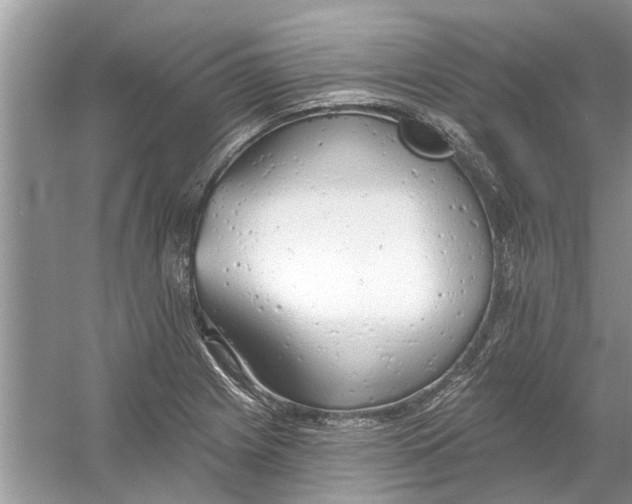 X0000053001225200508051125