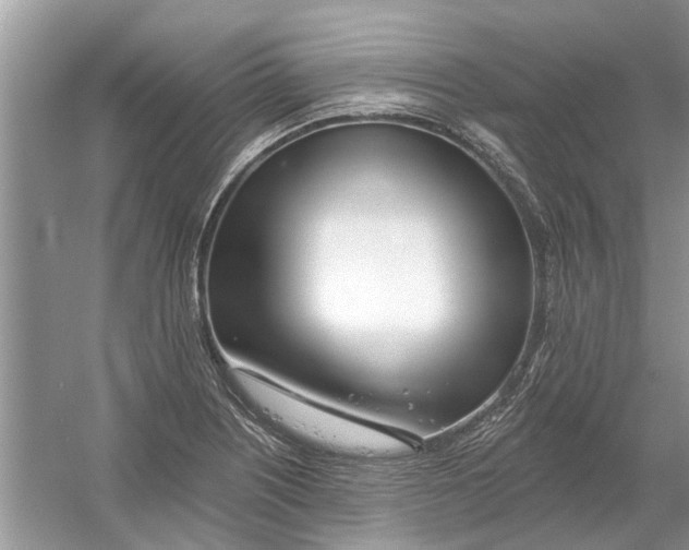 X0000053001226200508051125