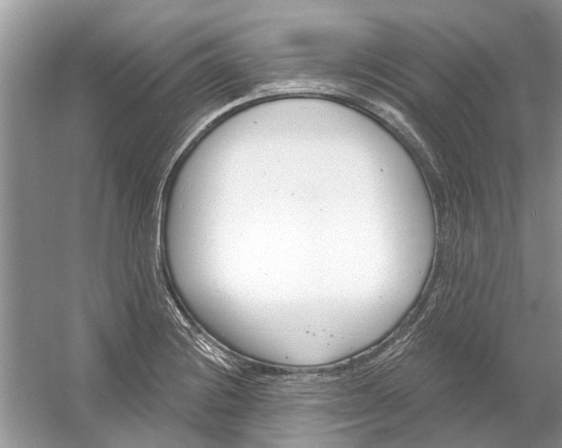 X0000053001228200508051125