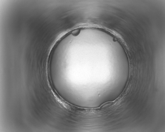 X0000053001231200508051125