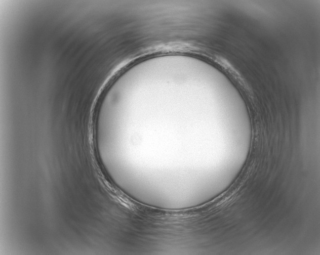 X0000053001232200508051125