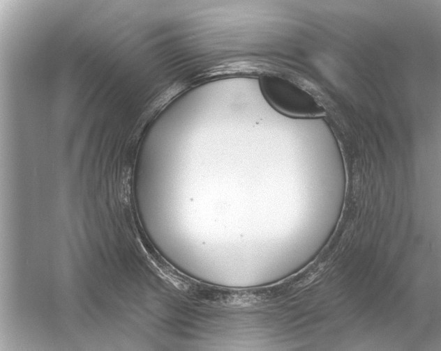 X0000053001233200508051125